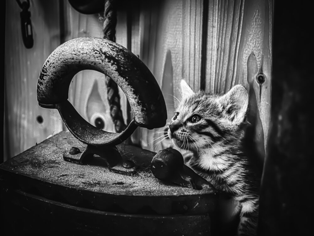 Ich erkunde meine Welt