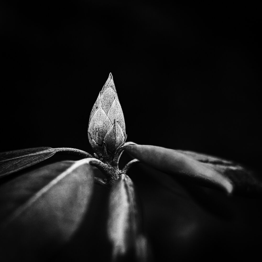 Warten auf den Frühling